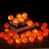 Halloween Pumpkin String Lights, Holiday LED Lights for Indoor Outdoor Decor