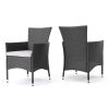 Brascha Contemporary Outdoor PE Wicker Dining Chairs w/ Cushions (Set of 2)