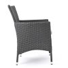 Brascha Contemporary Outdoor PE Wicker Dining Chairs w/ Cushions (Set of 2)