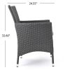 Brascha Contemporary Outdoor PE Wicker Dining Chairs w/ Cushions (Set of 2)