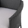 Brascha Contemporary Outdoor PE Wicker Dining Chairs w/ Cushions (Set of 2)