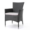 Brascha Contemporary Outdoor PE Wicker Dining Chairs w/ Cushions (Set of 2)