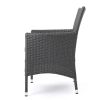 Brascha Contemporary Outdoor PE Wicker Dining Chairs w/ Cushions (Set of 2)