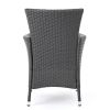 Brascha Contemporary Outdoor PE Wicker Dining Chairs w/ Cushions (Set of 2)