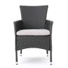 Brascha Contemporary Outdoor PE Wicker Dining Chairs w/ Cushions (Set of 2)