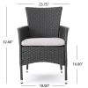 Brascha Contemporary Outdoor PE Wicker Dining Chairs w/ Cushions (Set of 2)