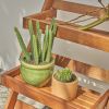 Malibu Outdoor Three-layer Wood Garden Plant Stand